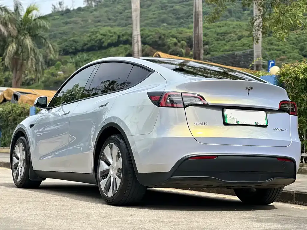 Tesla Model Y 2021 из CN, фото 5
