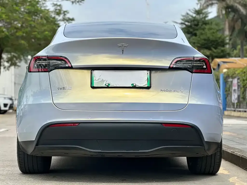 Tesla Model Y 2021 из CN, фото 6