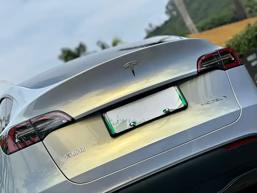 Tesla Model Y 2021 из CN, фото 7