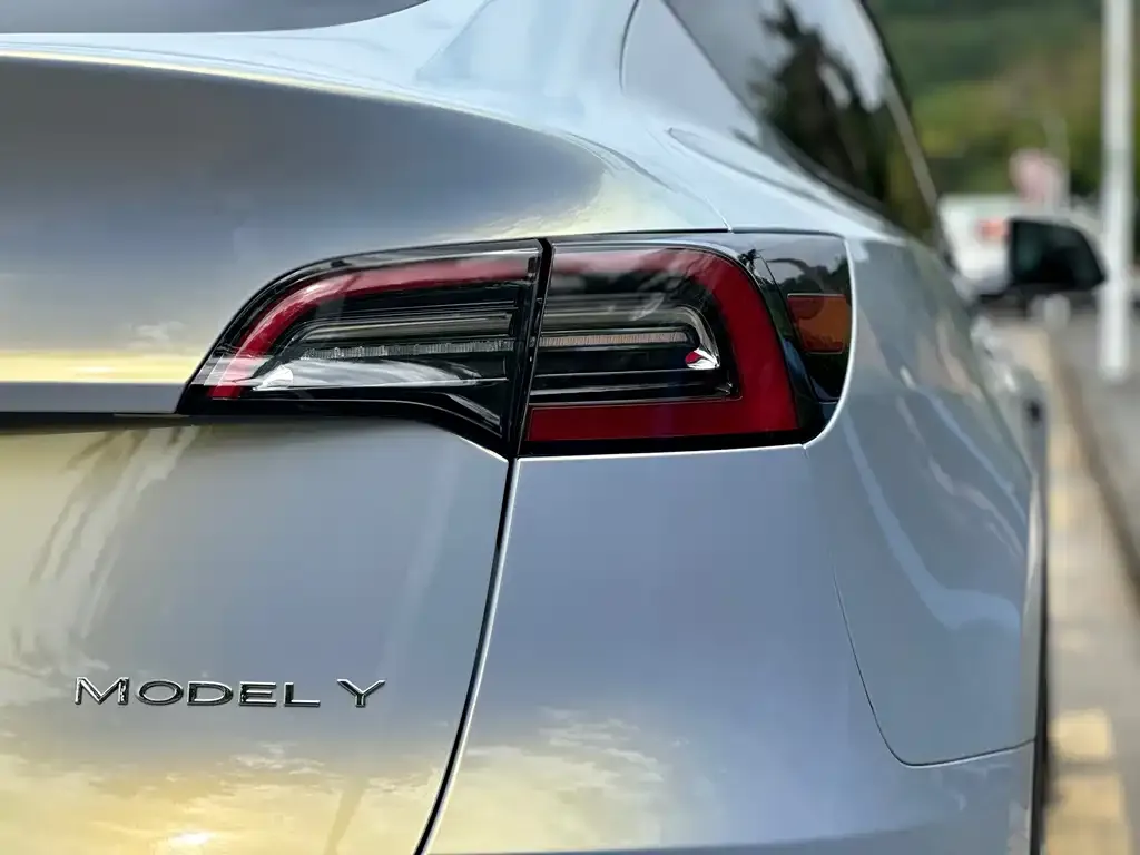 Tesla Model Y 2021 из CN, фото 8