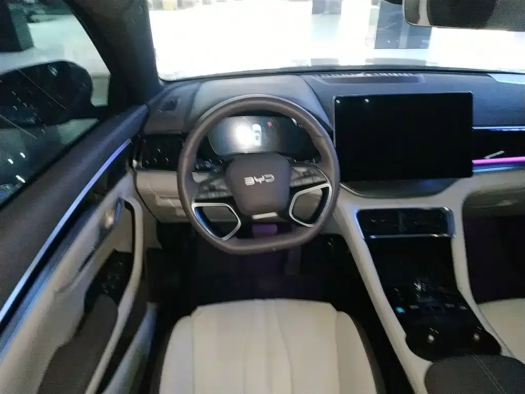 BYD PLUS New Energy 2025 из CN, фото 10