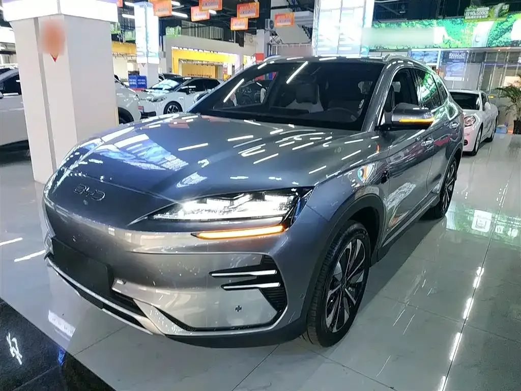 BYD PLUS New Energy 2025 из CN, фото 2