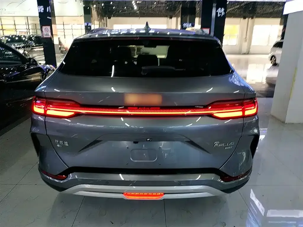 BYD PLUS New Energy 2025 из CN, фото 6