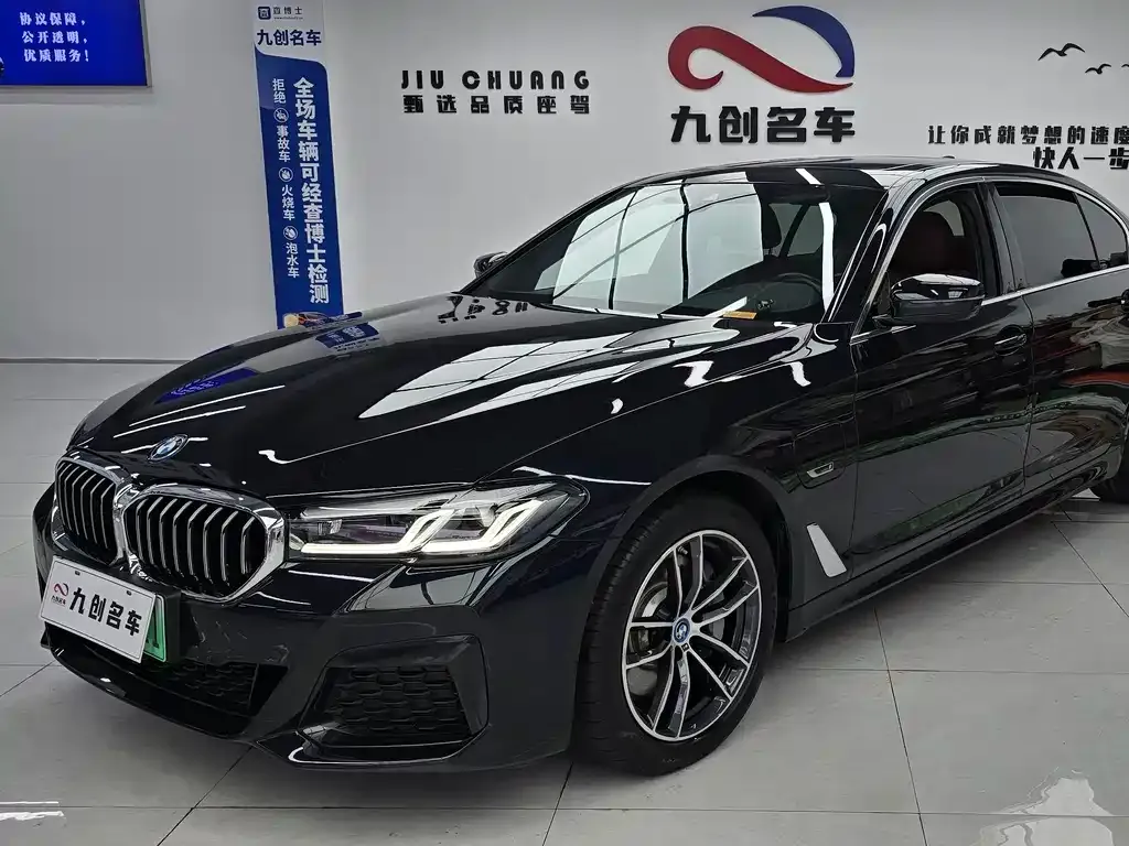 BMW 5 Series New Energy 2023 из CN, фото 1