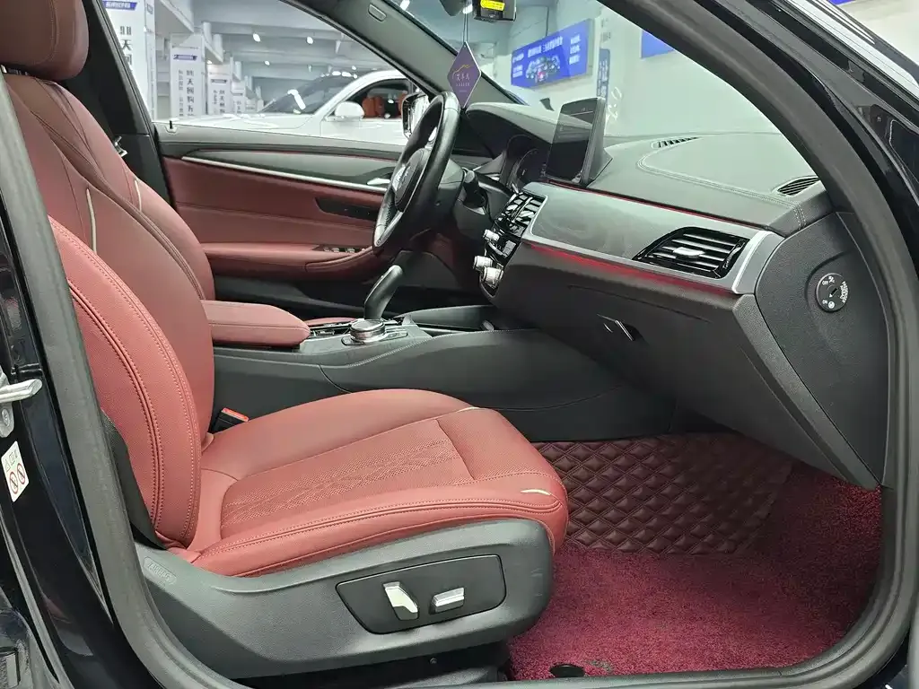 BMW 5 Series New Energy 2023 из CN, фото 10