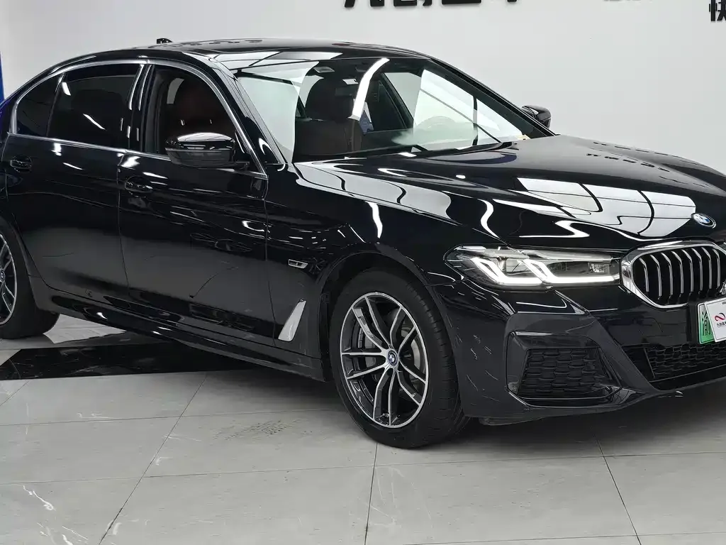 BMW 5 Series New Energy 2023 из CN, фото 4