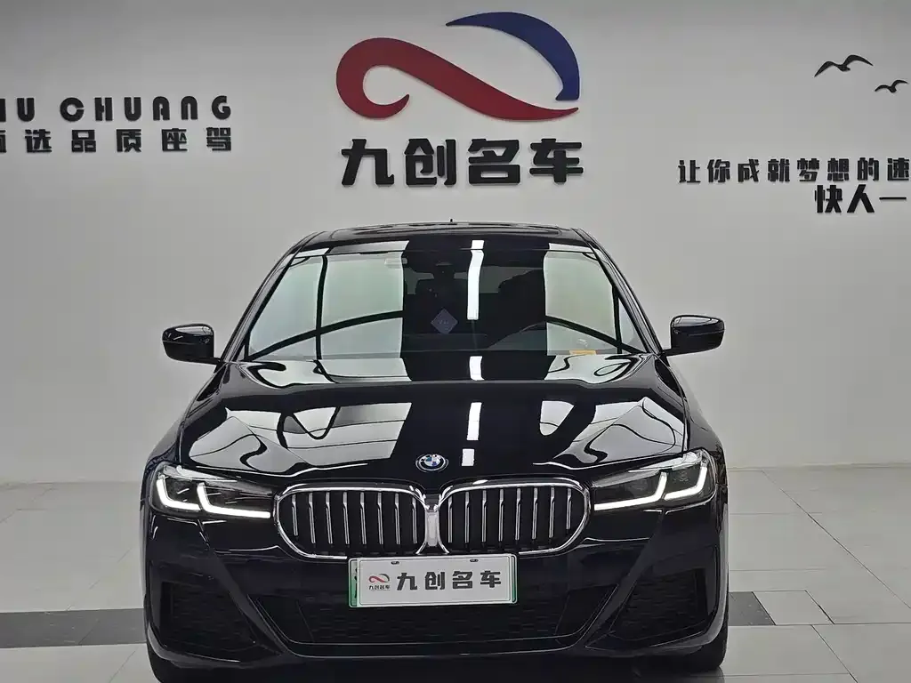 BMW 5 Series New Energy 2023 из CN, фото 6