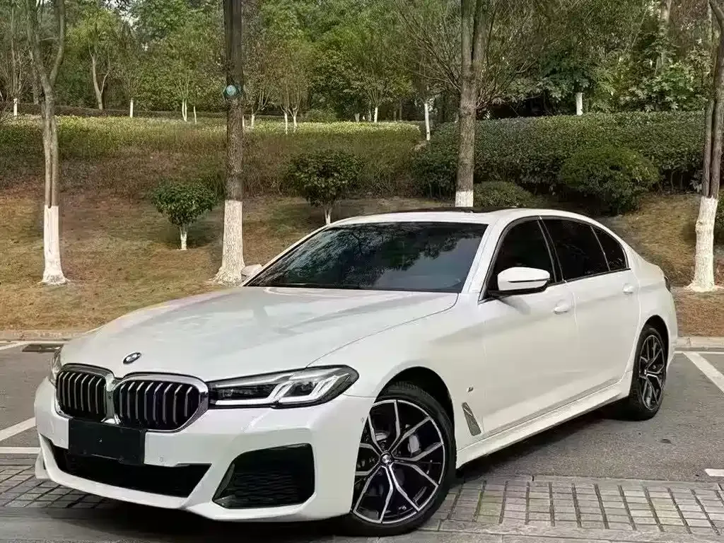 BMW 5 Series 2021 из CN, фото 1