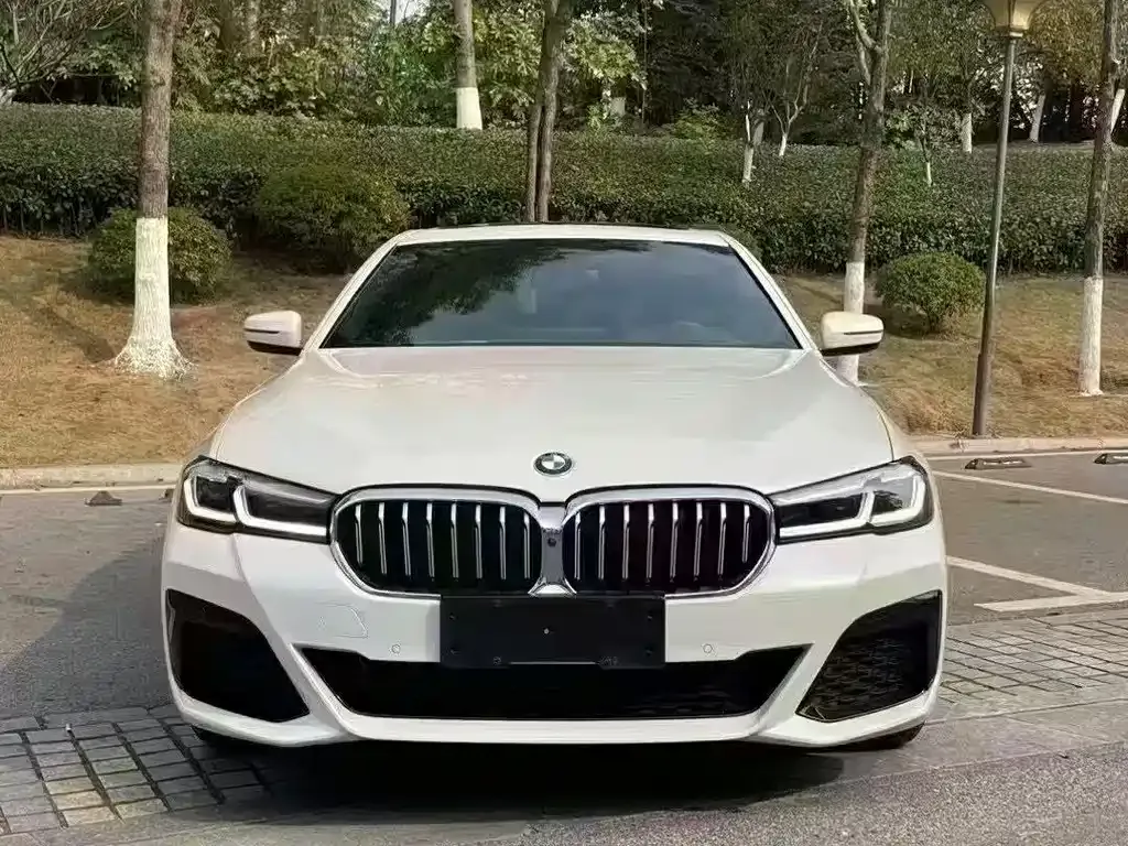 BMW 5 Series 2021 из CN, фото 2