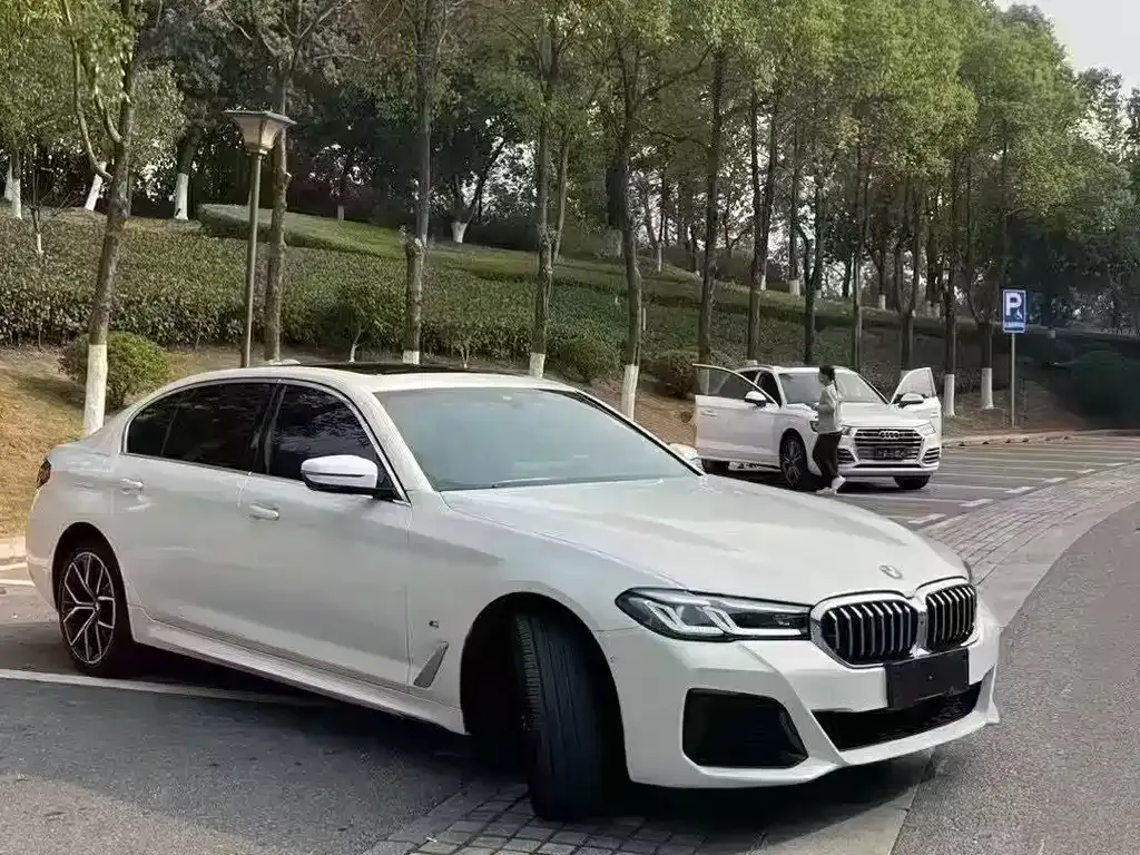 BMW 5 Series 2021 из CN, фото 3