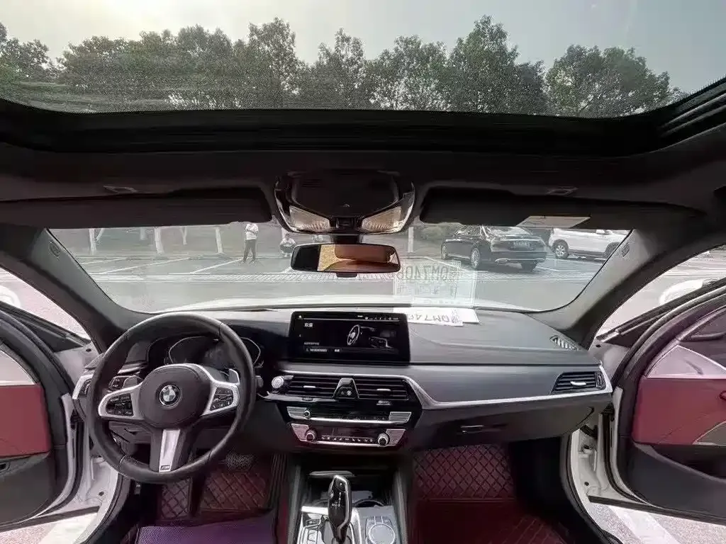 BMW 5 Series 2021 из CN, фото 6