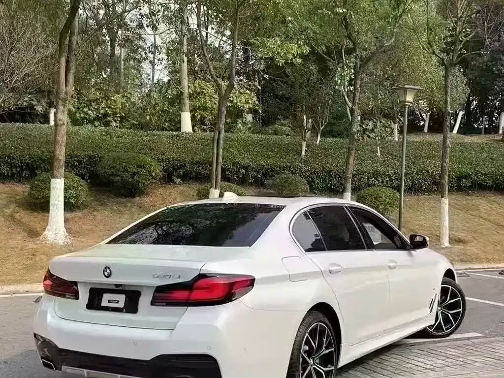 BMW 5 Series 2021 из CN, фото 8