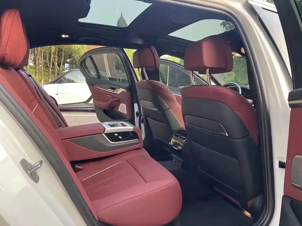 BMW 5 Series 2021 из CN, фото 9