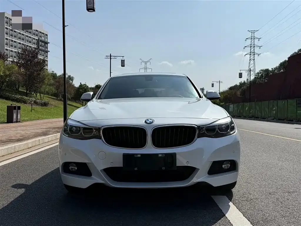 BMW 3 Series GT 2021 из CN, фото 2