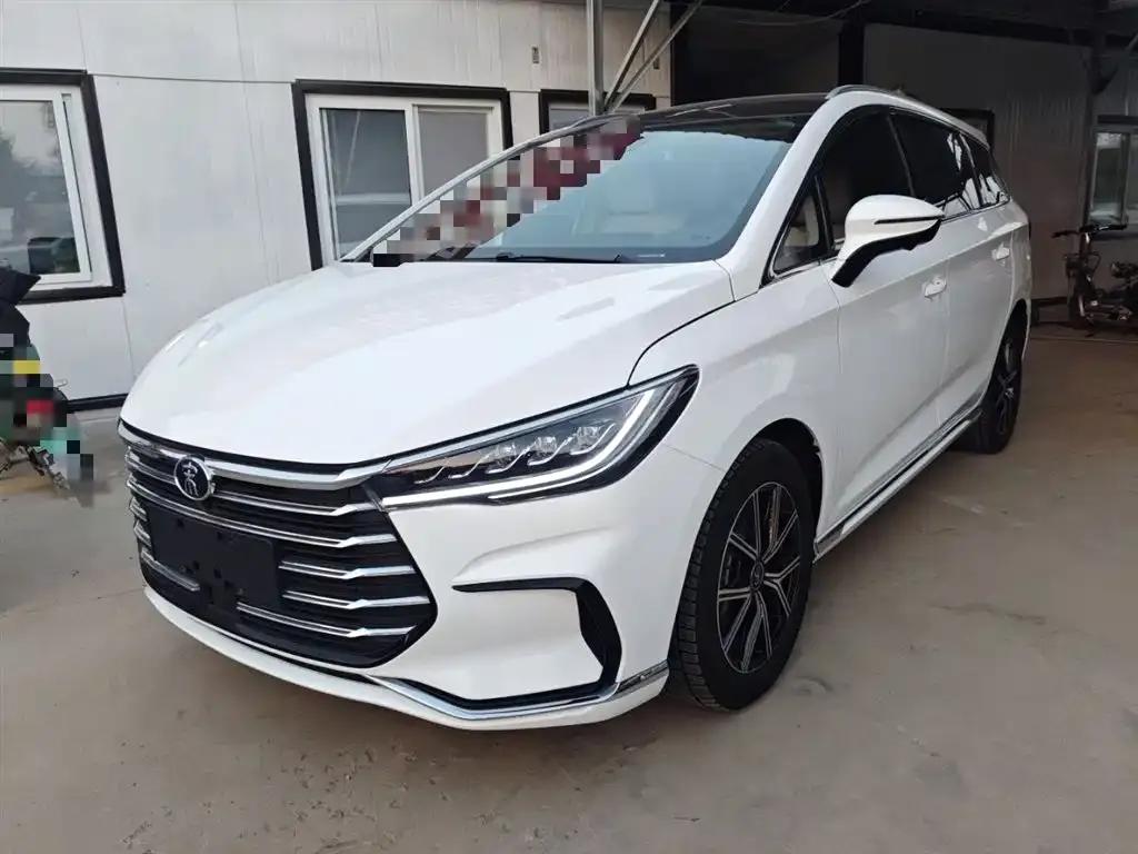 BYD MAX New Energy 2024 из CN, фото 1