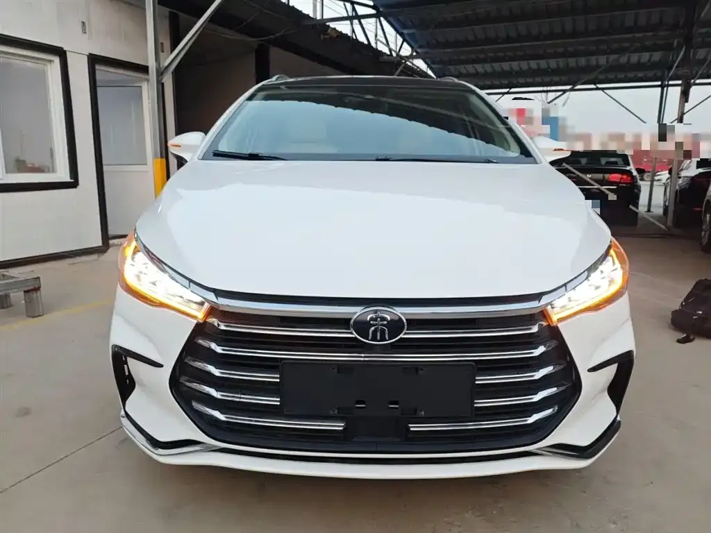 BYD MAX New Energy 2024 из CN, фото 3