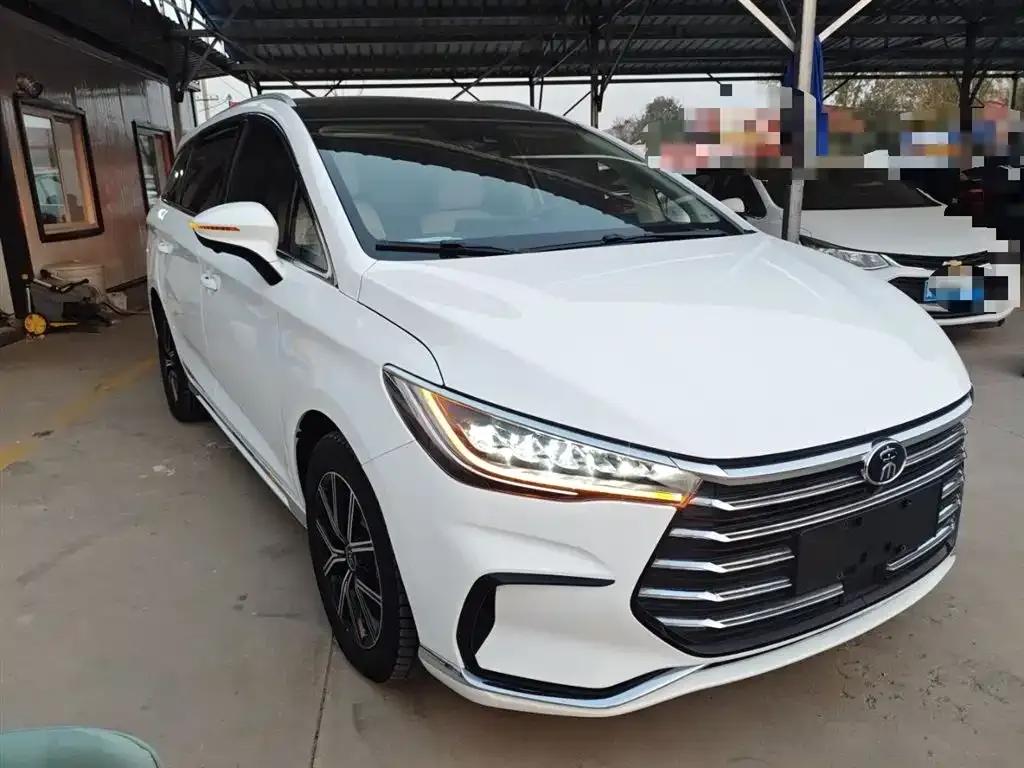 BYD MAX New Energy 2024 из CN, фото 4
