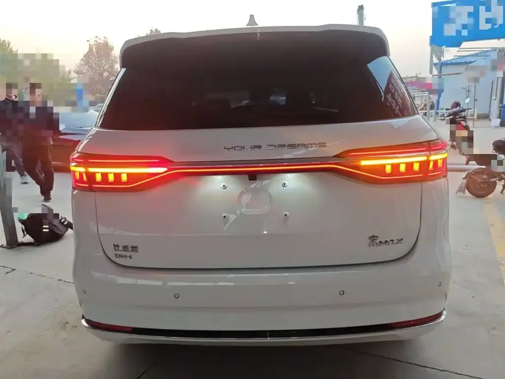 BYD MAX New Energy 2024 из CN, фото 6