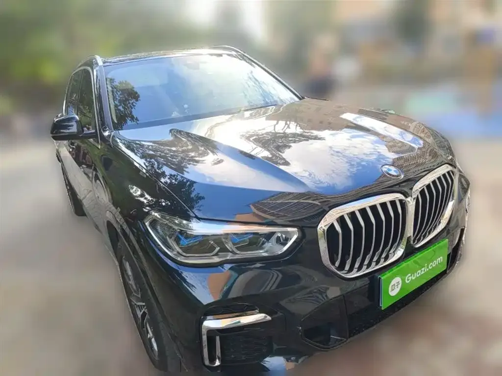 BMW X5 2023 из CN, фото 4