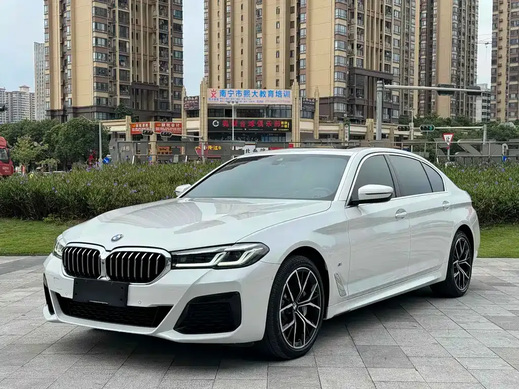 BMW 5 Series 2021 из CN, фото 1