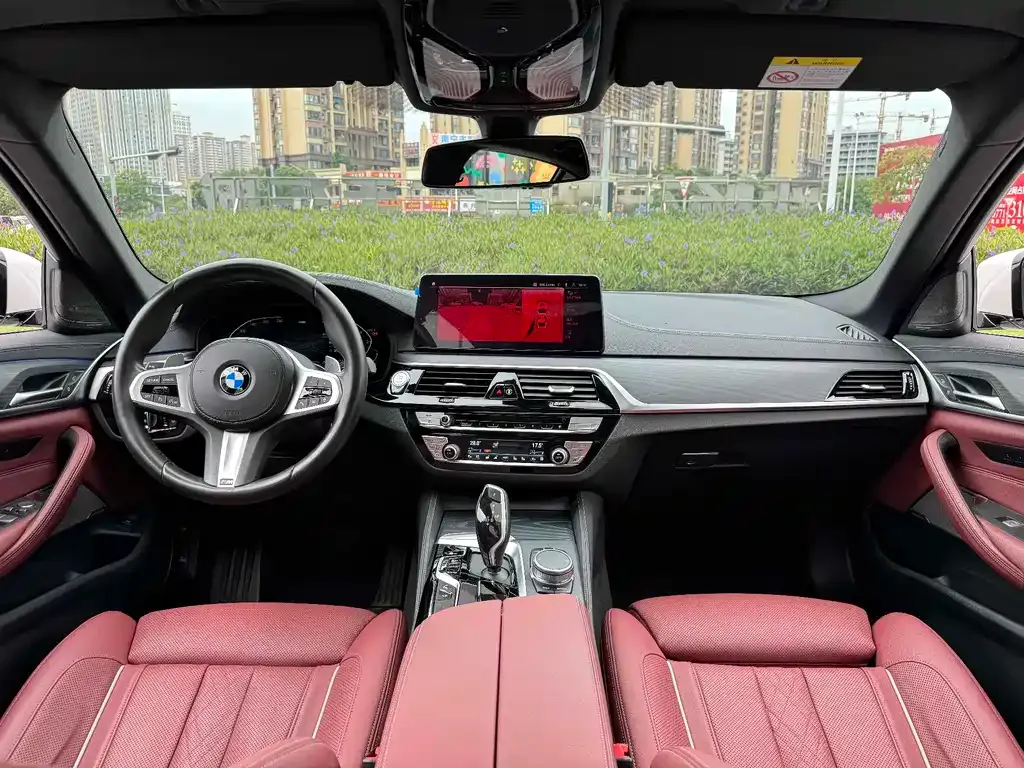 BMW 5 Series 2021 из CN, фото 10