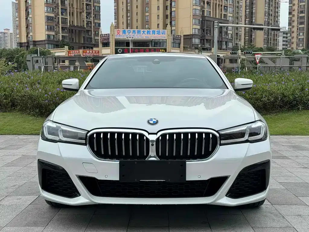 BMW 5 Series 2021 из CN, фото 2