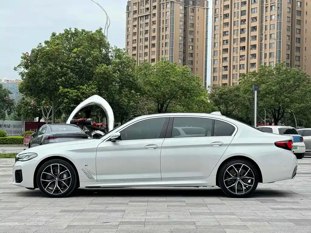 BMW 5 Series 2021 из CN, фото 3