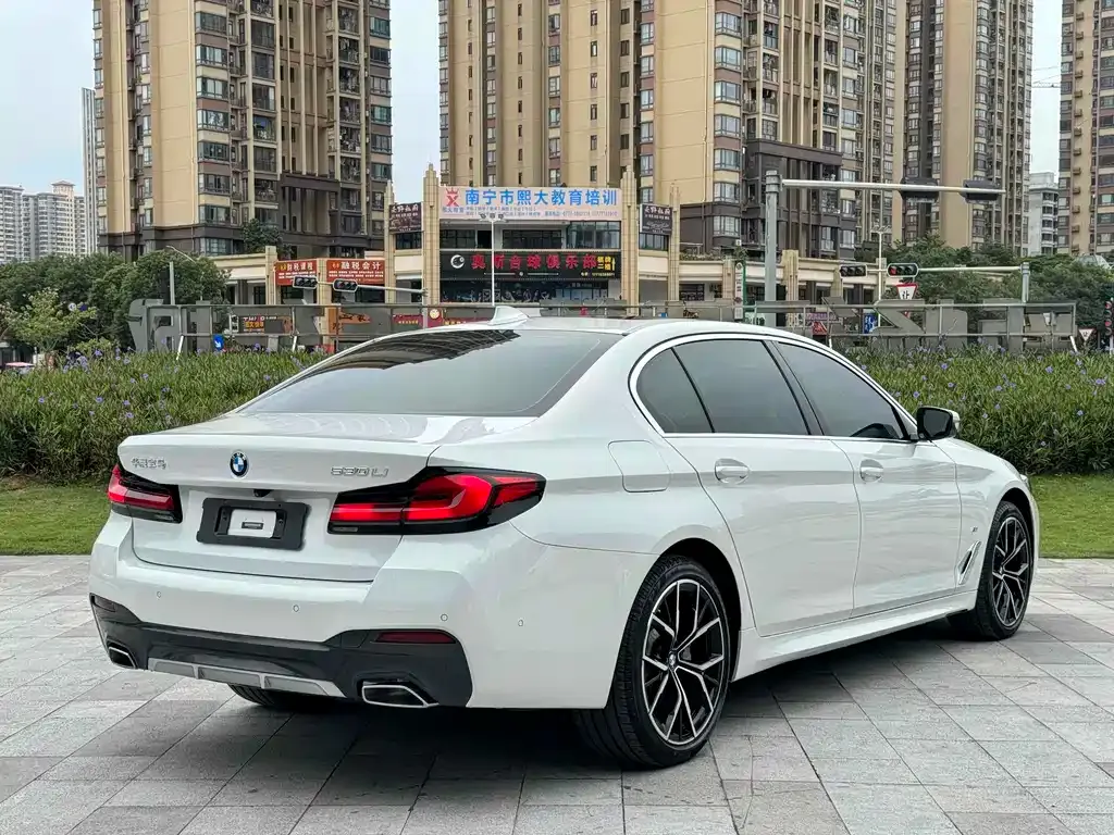 BMW 5 Series 2021 из CN, фото 4