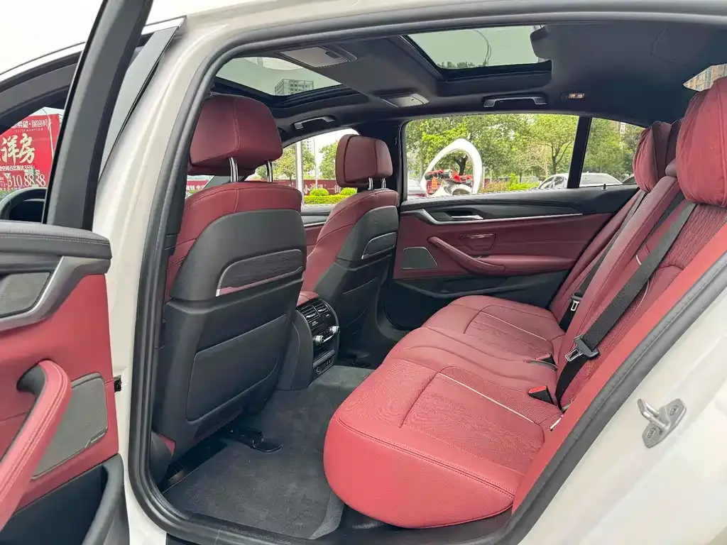 BMW 5 Series 2021 из CN, фото 7
