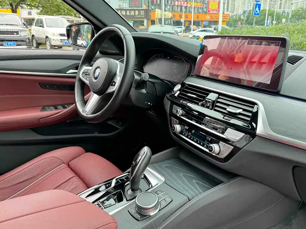 BMW 5 Series 2021 из CN, фото 9