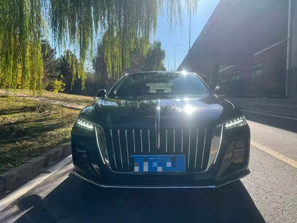 Hongqi H5 2023 из CN, фото 2
