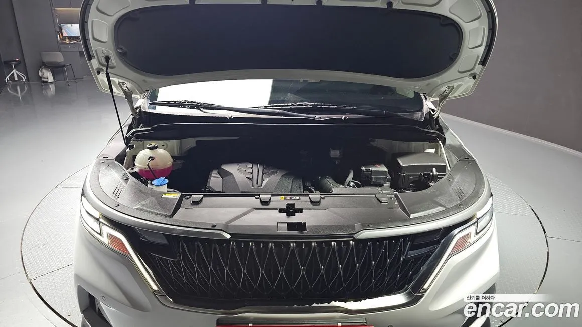 [object Object] Canival 2023 из KR, фото 6