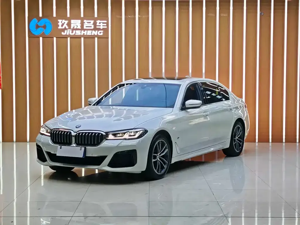 BMW 5 Series — фото 1