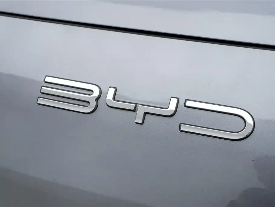 BYD PLUS New Energy — фото 6