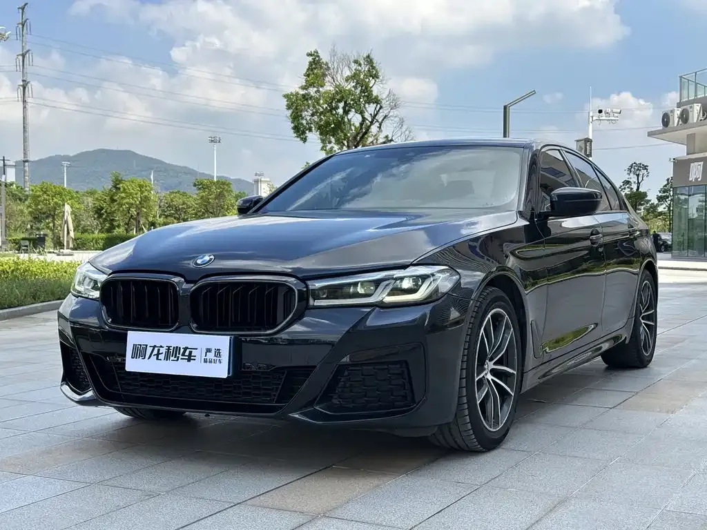 BMW 5 Series (Import) 2021 из CN, фото 1