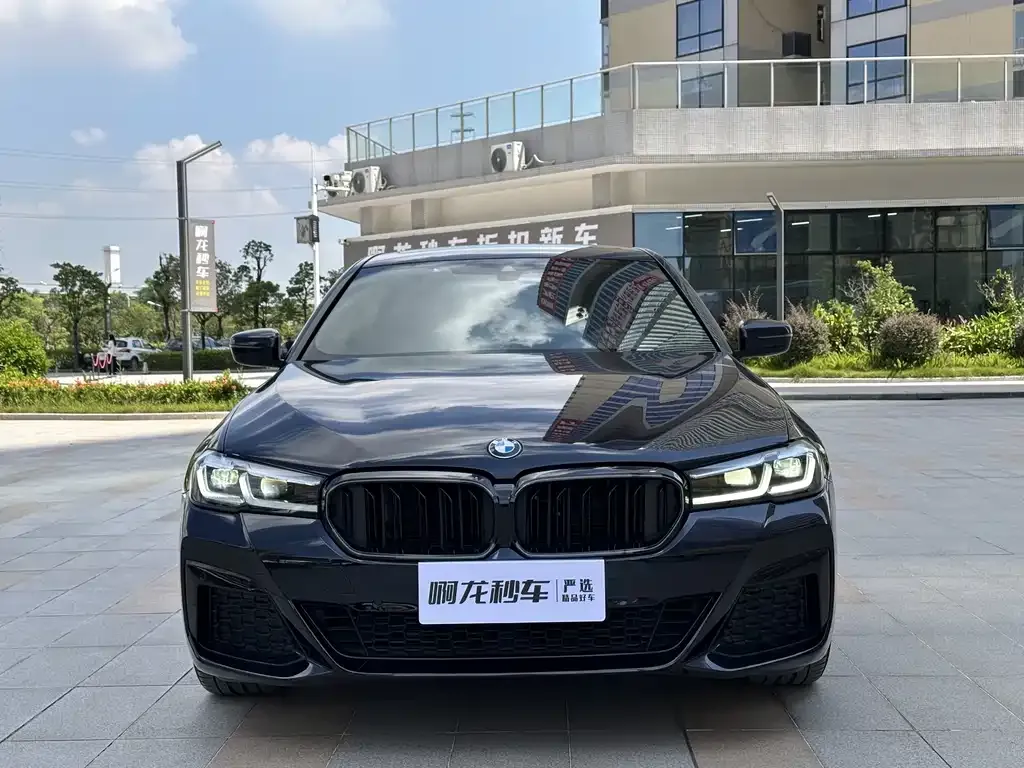 BMW 5 Series (Import) 2021 из CN, фото 2