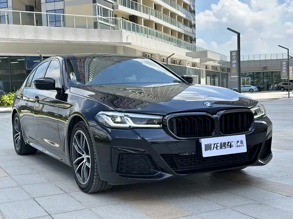 BMW 5 Series (Import) 2021 из CN, фото 3