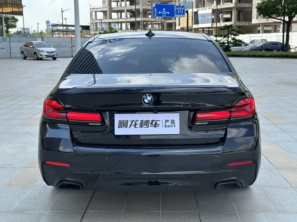 BMW 5 Series (Import) 2021 из CN, фото 5