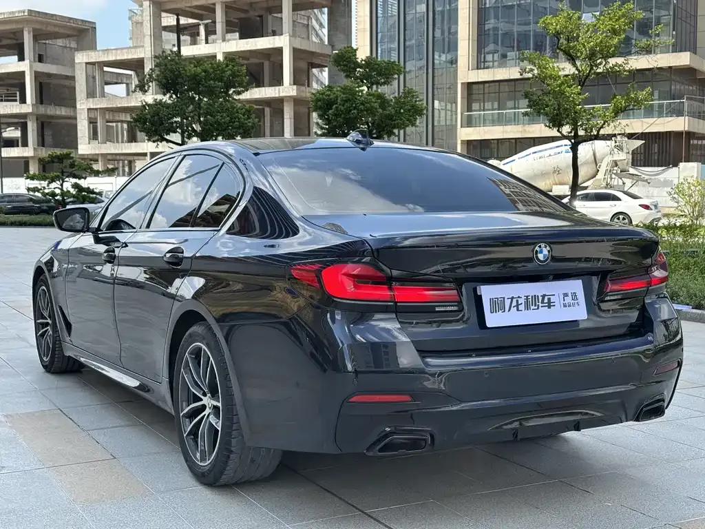 BMW 5 Series (Import) 2021 из CN, фото 6