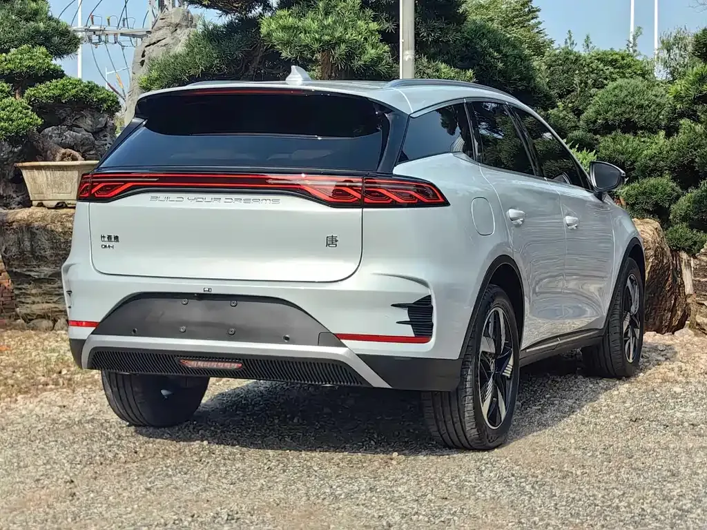 BYD Tang New Energy — фото 10
