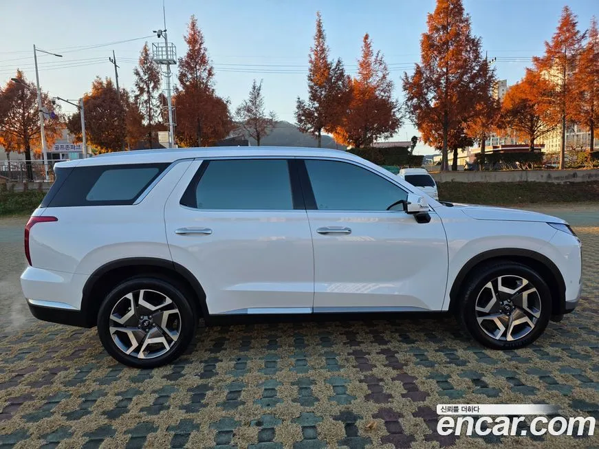 Hyundai Palisade — фото 6