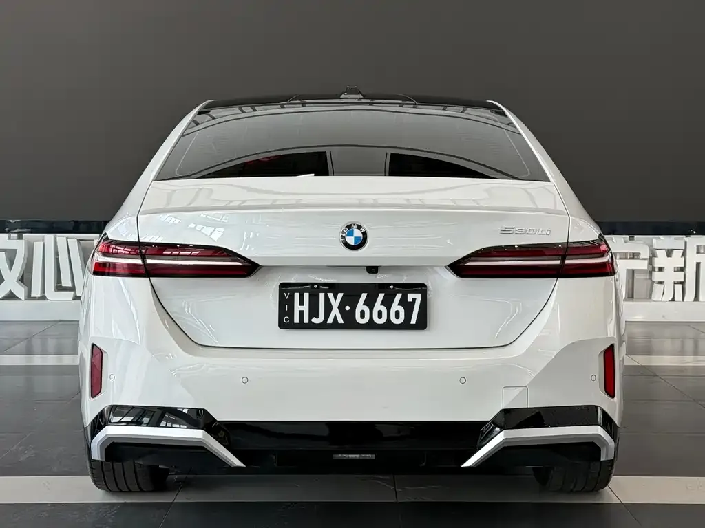 BMW 5 Series 2024 из CN, фото 6