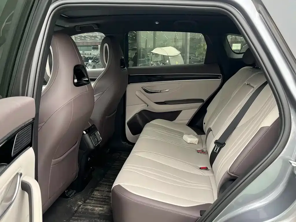 BYD PLUS New Energy 2025 из CN, фото 4