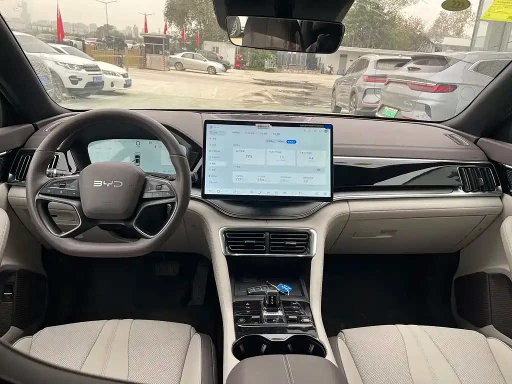 BYD PLUS New Energy 2025 из CN, фото 6