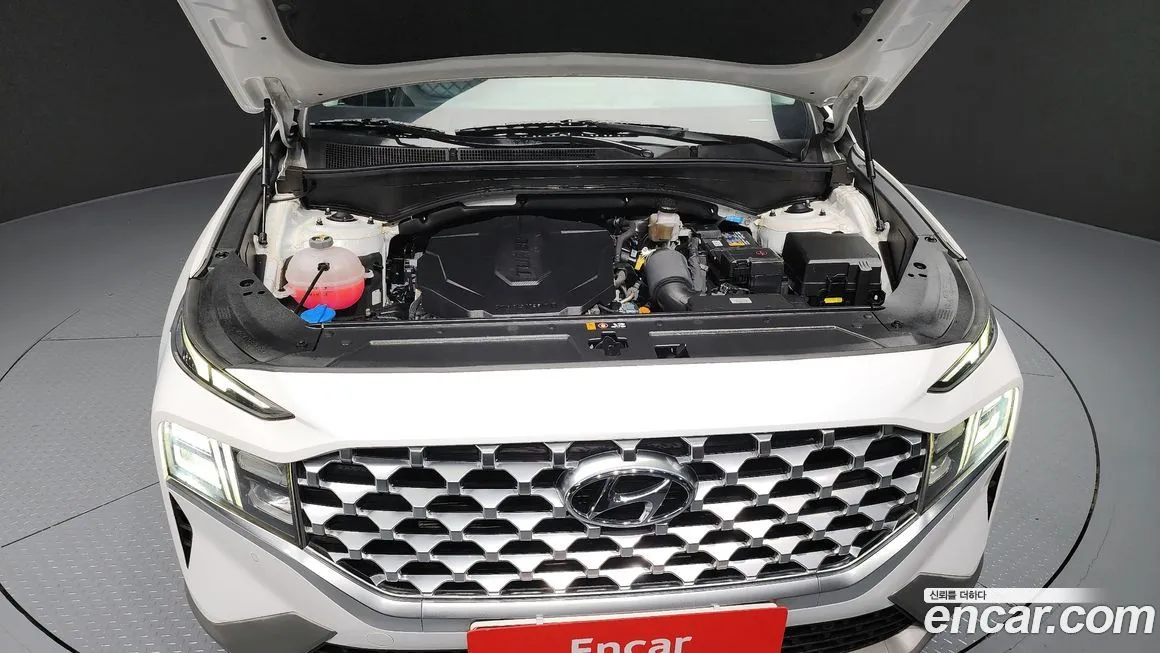 Hyundai Santafe 2021 из KR, фото 6