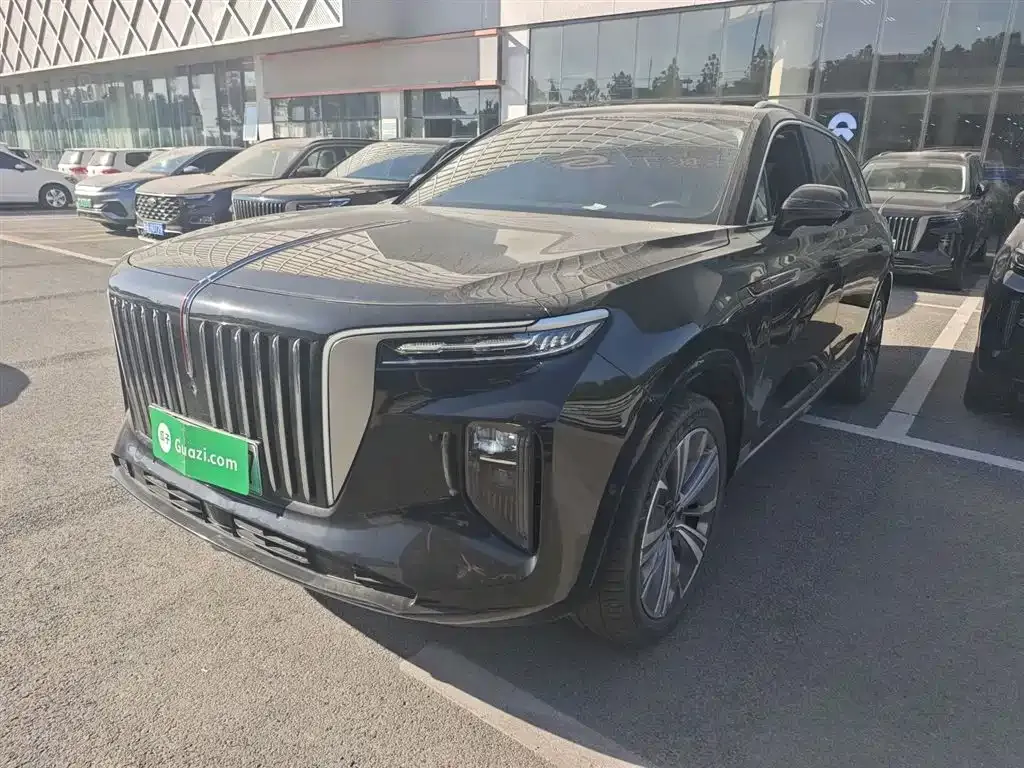 Hongqi E-HS9 2023 из CN, фото 1