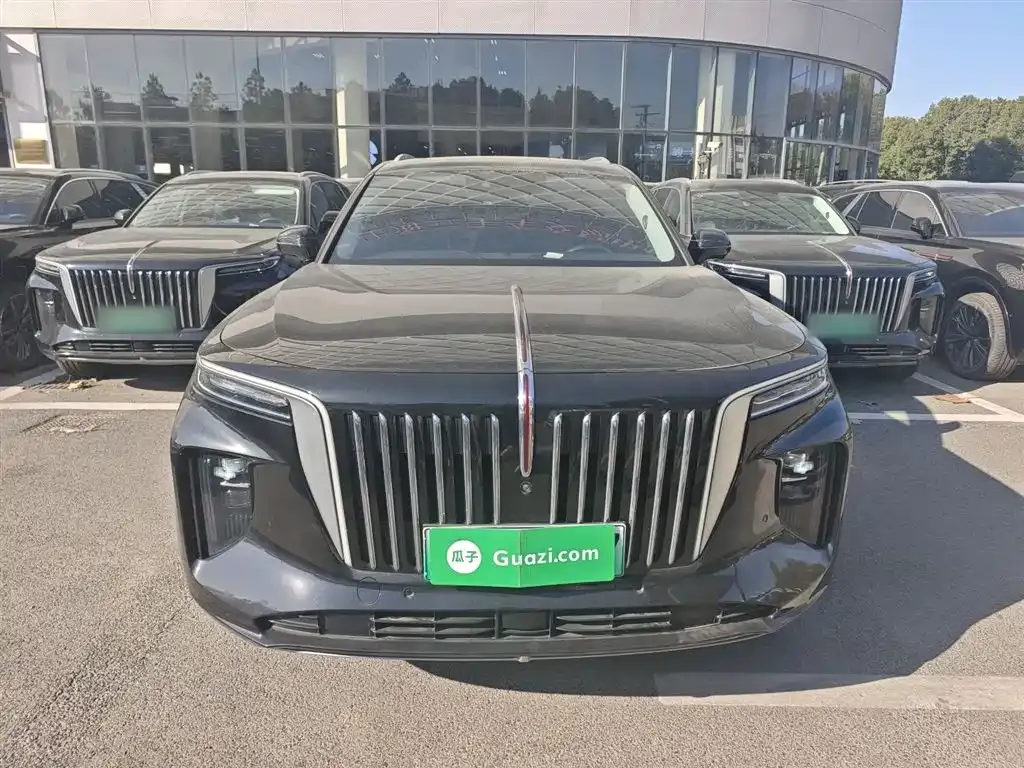 Hongqi E-HS9 2023 из CN, фото 3