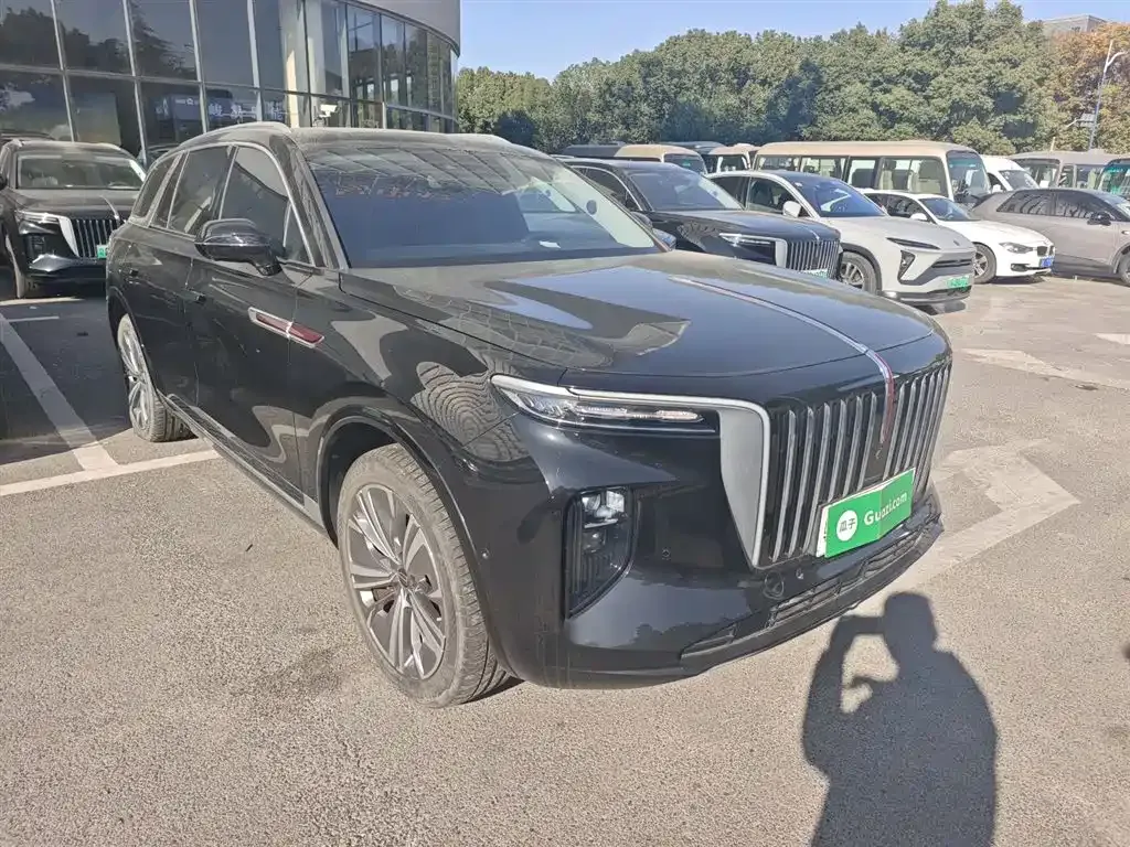 Hongqi E-HS9 2023 из CN, фото 4
