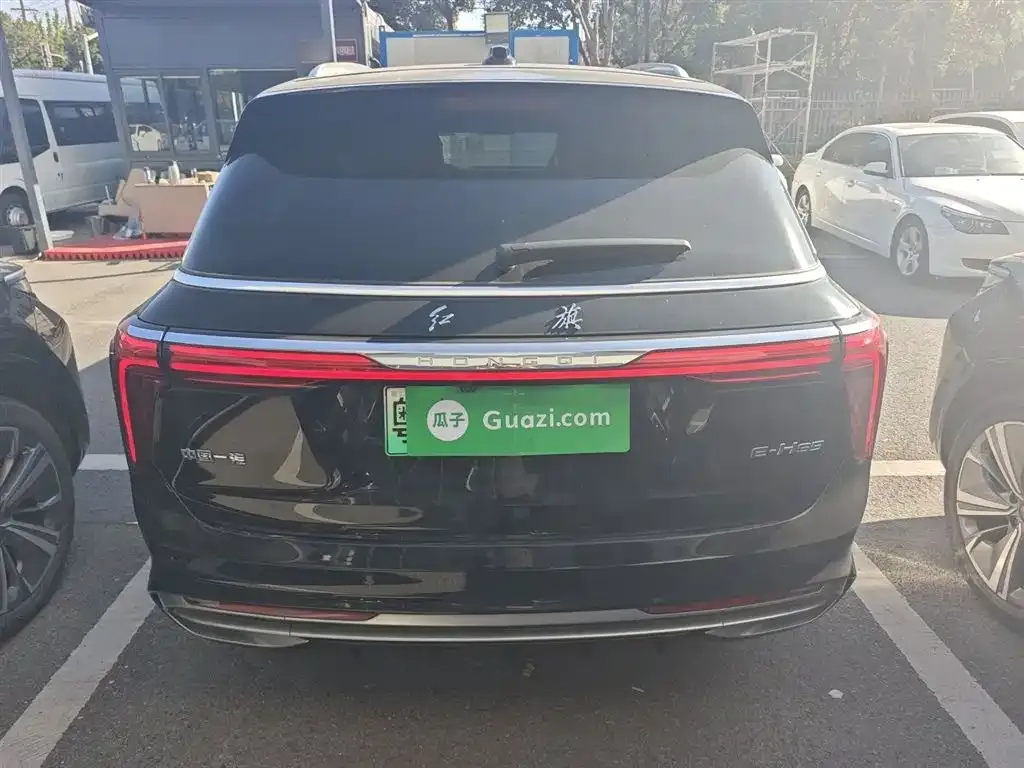 Hongqi E-HS9 2023 из CN, фото 6