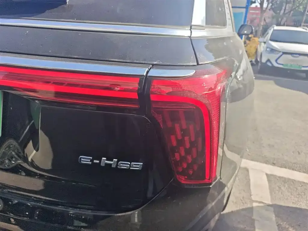 Hongqi E-HS9 2023 из CN, фото 8